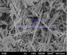 Tungsten Nano Powder