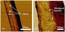 UHMWPE Fiber