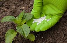 Urea