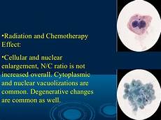 Urinary System Agents