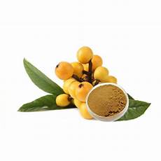 Ursolic Acid