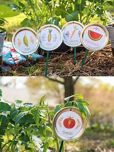 Vegetable jam
