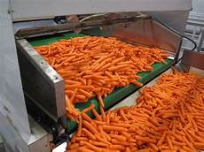 Vegetable Processing