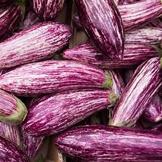 Vegetable Seeds