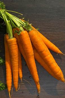 Vegetable Seeds