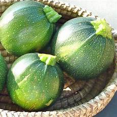 Vegetable Seeds