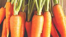 Vegetable Washers