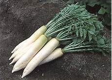 Vegetables Machinery