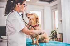 Veterinary Medicine