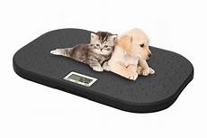 Veterinary Shoes