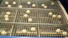 Vibrating Screen