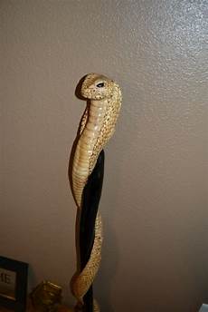 Walking-Sticks