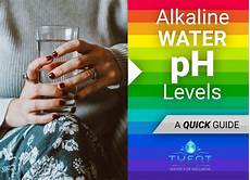 Water-Ionizers