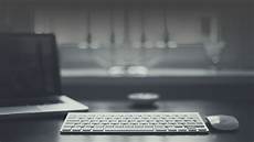 Web Developer