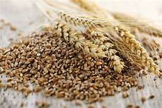 Wheat Bran