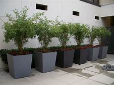White Fiberglass Planter