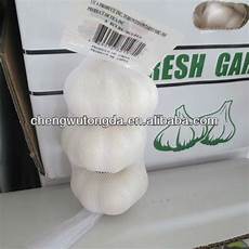 White Garlic Exporters