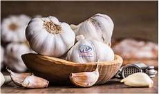 White Garlic Exporters