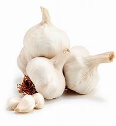 White Garlic Exporters