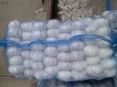 White Garlic Exporters