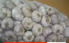 White Garlic Suppliers