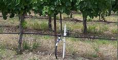 Wineyard Fertilizers