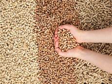 Wood Pellet Mill