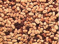 Wood Pellets