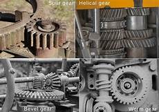 Worm Gears