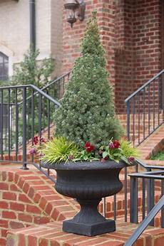 Xmas Trees