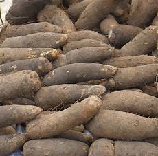 Yam Flour
