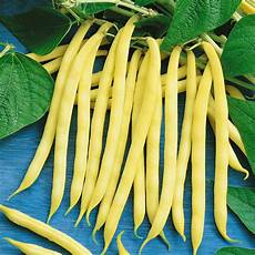 Yellow Butter