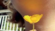 Yellow Butter