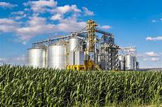 Yellow Corn Exporter