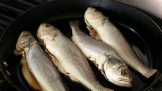 Yellow Croaker