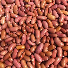 Yellow Kidney Beans