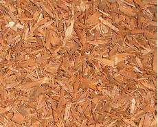 Yohimbe Extract