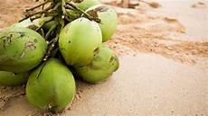 Young Coconuts