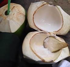 Young Coconuts