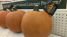 Youngs Artificial Pumpkins