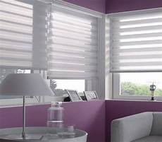 Zebra Blinds