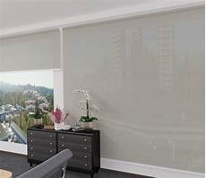 Zebra Blinds