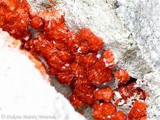 Zeolite Clinoptilolite